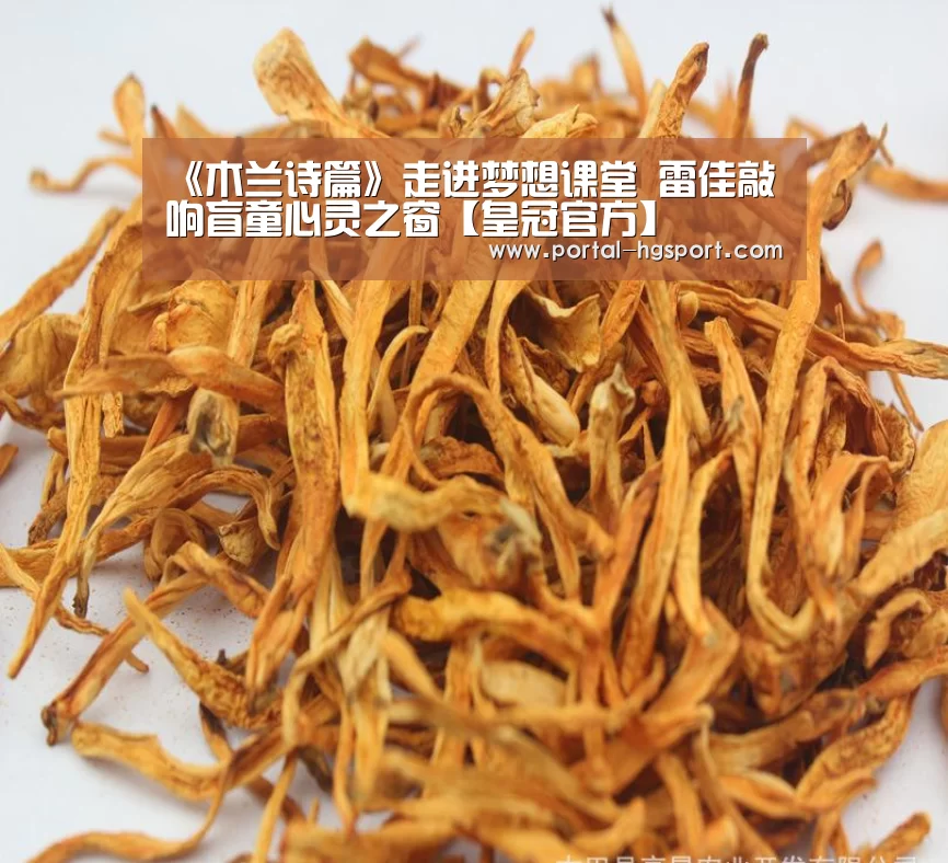《木兰诗篇》走进梦想课堂 雷佳敲响盲童心灵之窗【皇冠官方】