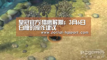 皇冠官方|猎鹰解期：3月6日白糖的操作建议